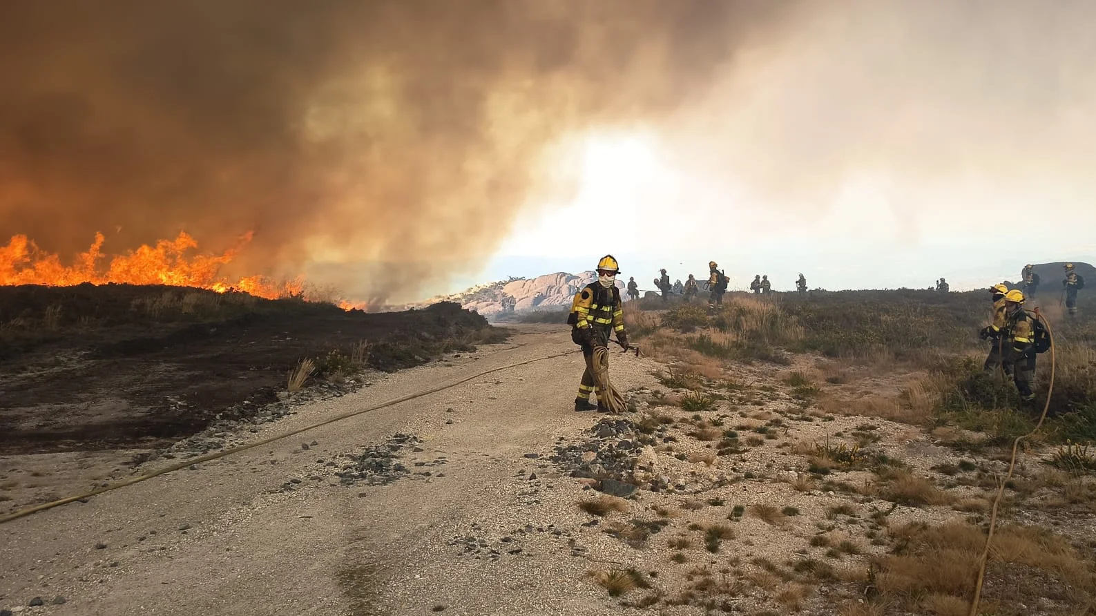 Incendio forestal